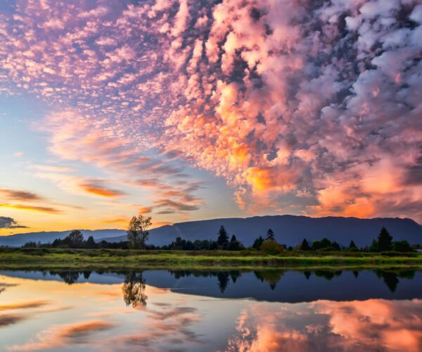 01.2025 pexels-souvenirpixels-1486974